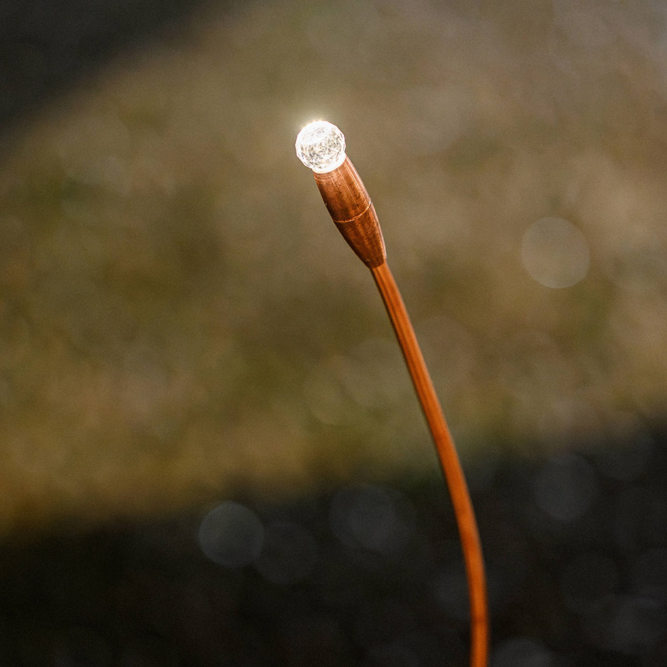 Premio Ghislieri 2024