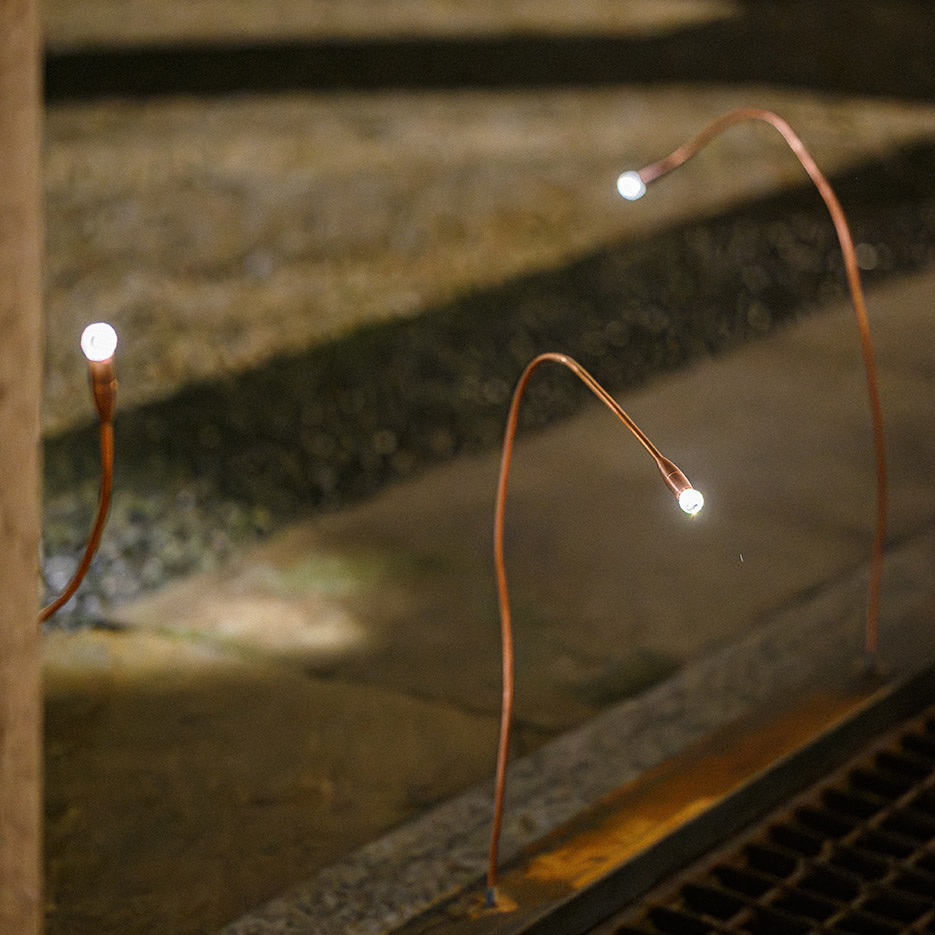 Premio Ghislieri 2024